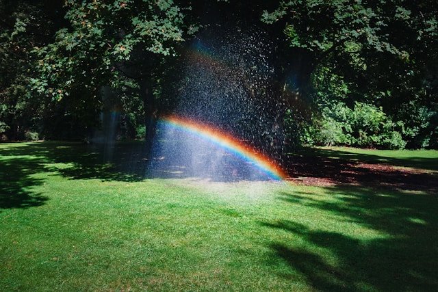 Perfectly Adjust Sprinkler Heads for Lush, Even Lawn